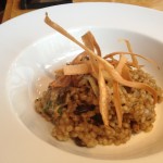 Wild mushroom, pearl barley and parmesan