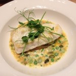 Halibut