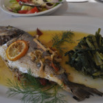 Bream