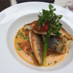 Gurnard and bream fillets